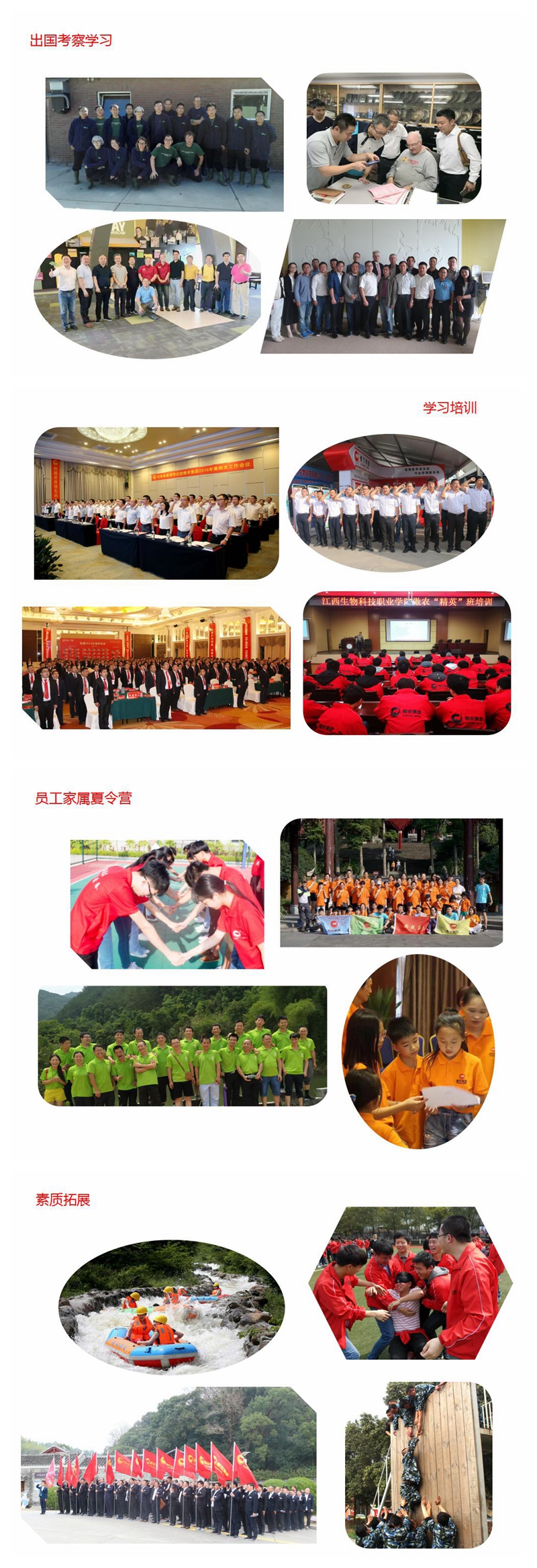 尊龙凯时 - 人生就是搏!