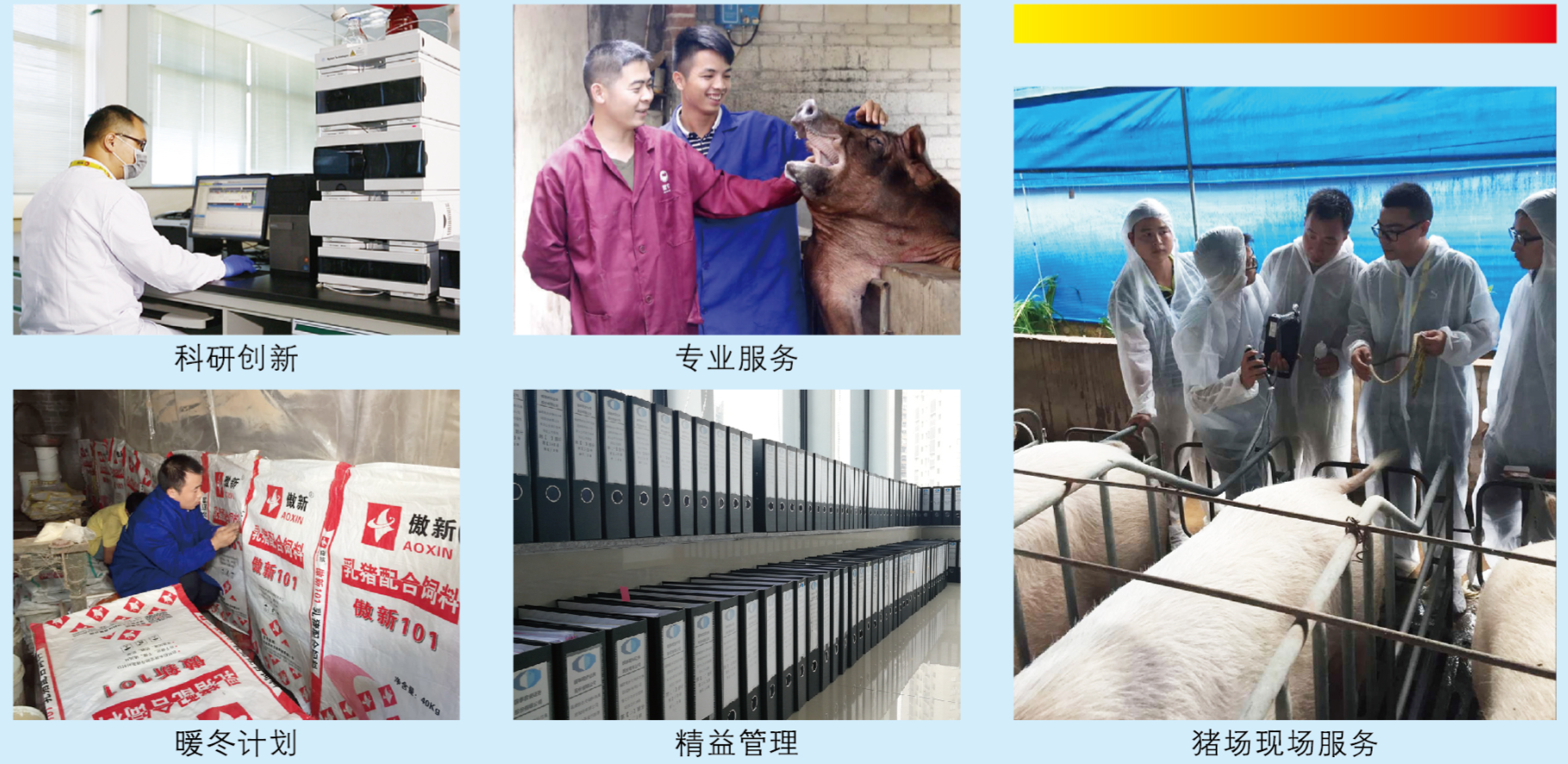 尊龙凯时 - 人生就是搏!