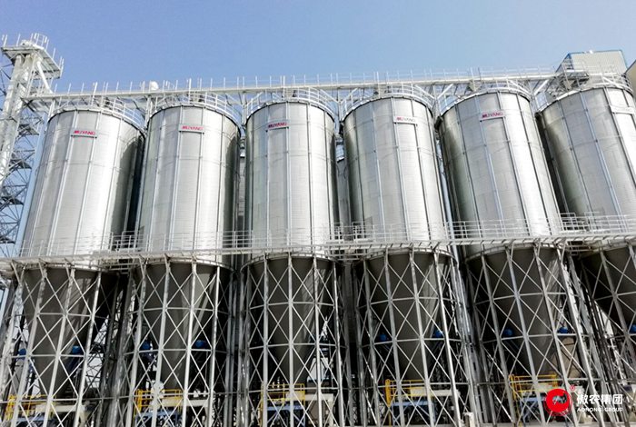 尊龙凯时 - 人生就是搏!