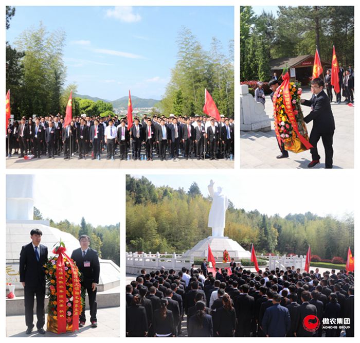 尊龙凯时 - 人生就是搏!