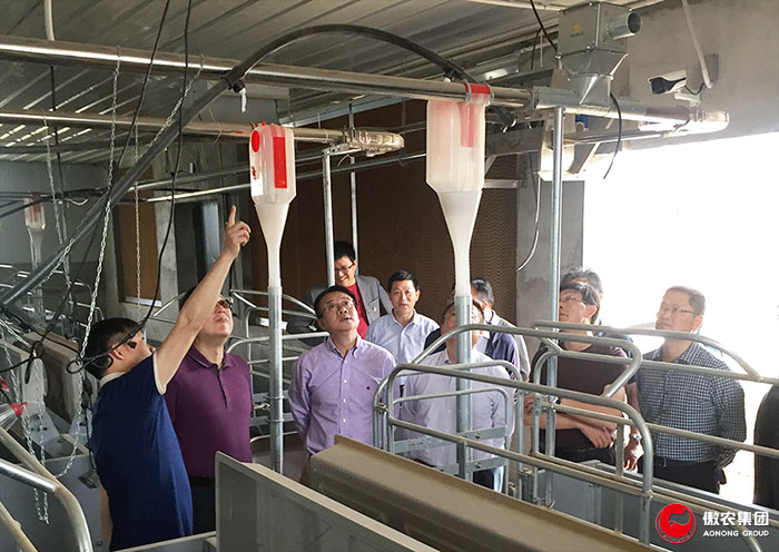 尊龙凯时 - 人生就是搏!