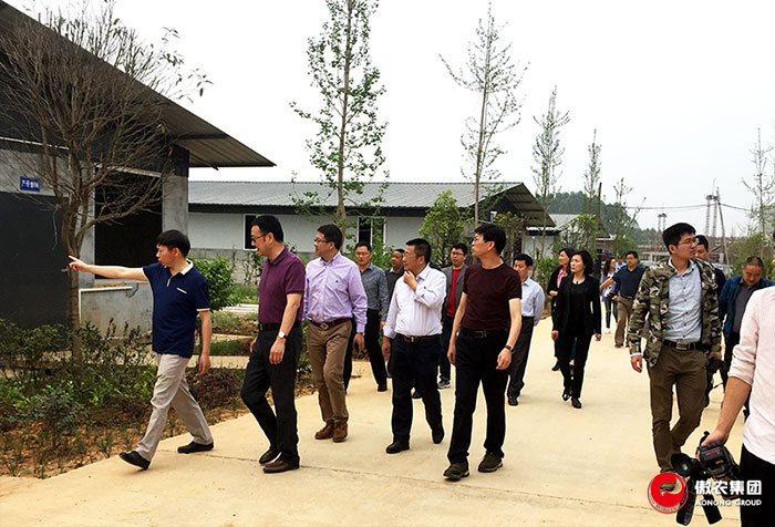 尊龙凯时 - 人生就是搏!