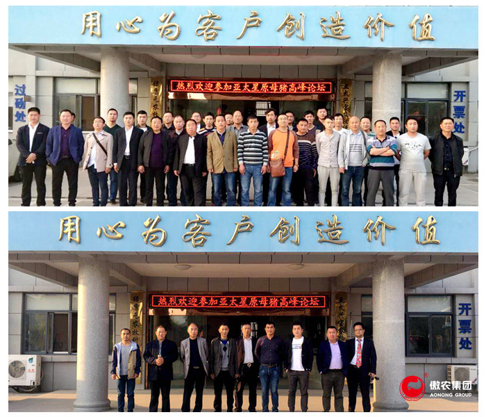 尊龙凯时 - 人生就是搏!