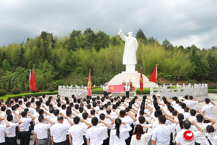 尊龙凯时 - 人生就是搏!