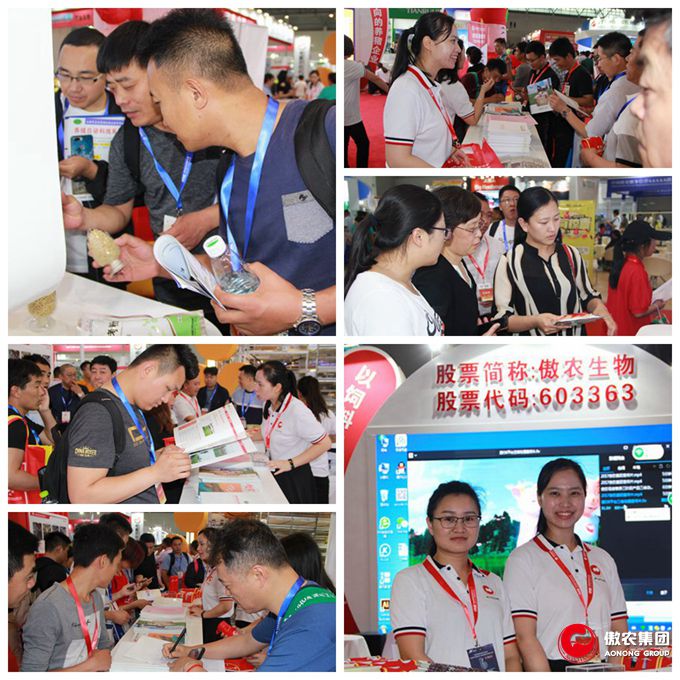 尊龙凯时 - 人生就是搏!