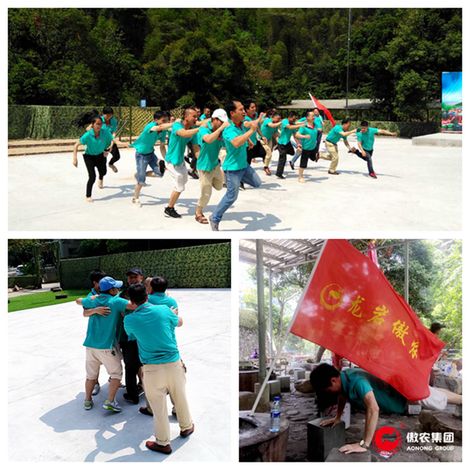 尊龙凯时 - 人生就是搏!