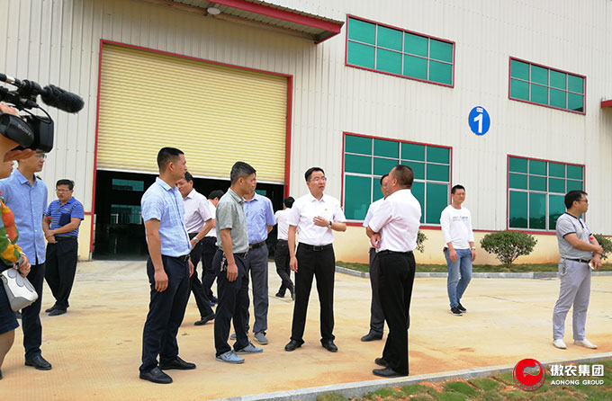 尊龙凯时 - 人生就是搏!