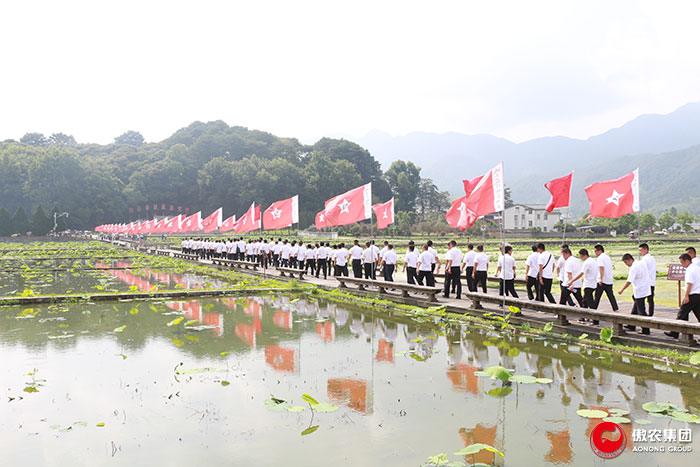 尊龙凯时 - 人生就是搏!