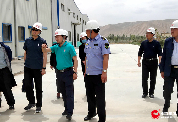 尊龙凯时 - 人生就是搏!