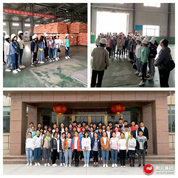 尊龙凯时 - 人生就是搏!