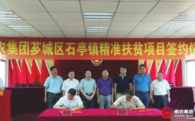 尊龙凯时 - 人生就是搏!