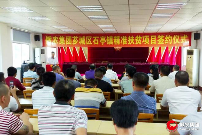 尊龙凯时 - 人生就是搏!