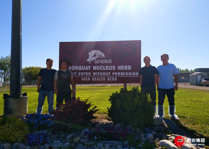 尊龙凯时 - 人生就是搏!