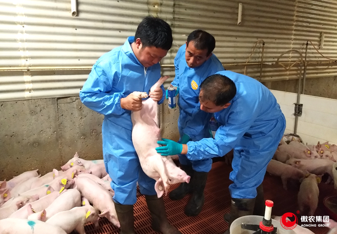 尊龙凯时 - 人生就是搏!