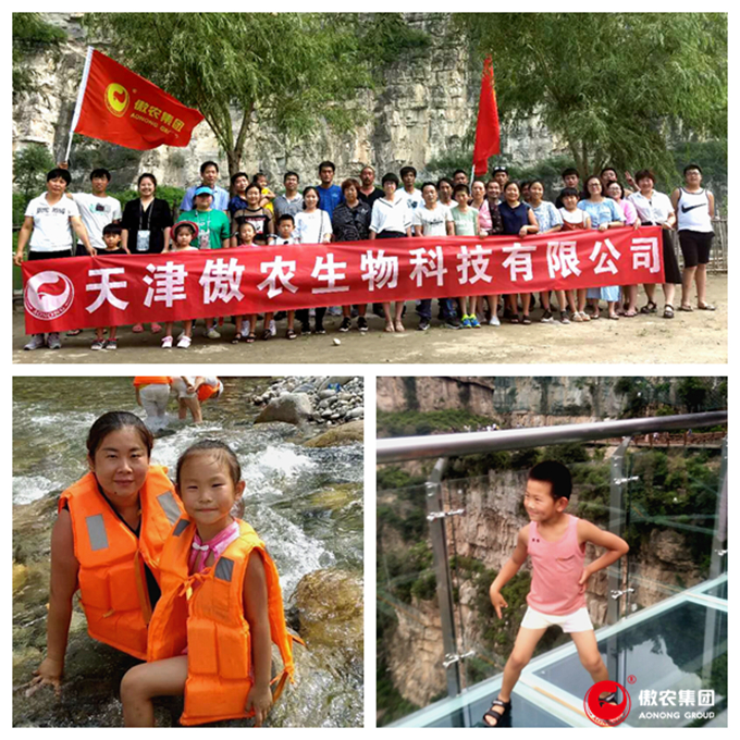 尊龙凯时 - 人生就是搏!