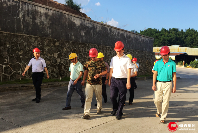 尊龙凯时 - 人生就是搏!