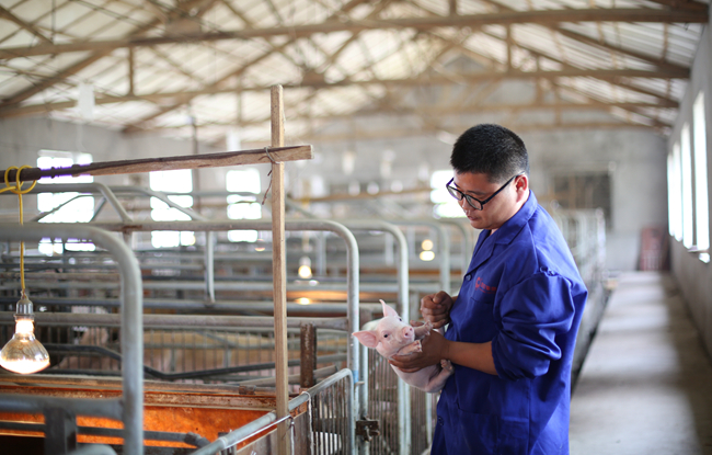 尊龙凯时 - 人生就是搏!