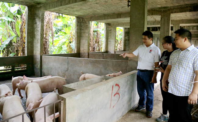 尊龙凯时 - 人生就是搏!