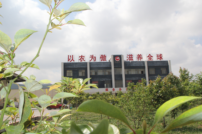 尊龙凯时 - 人生就是搏!