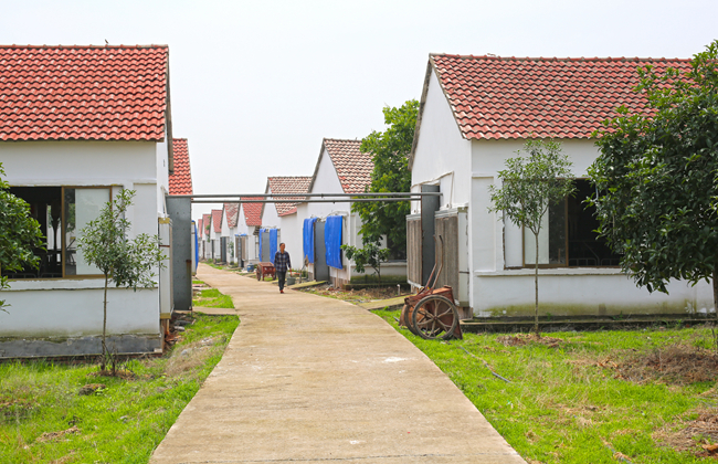 尊龙凯时 - 人生就是搏!