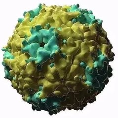 尊龙凯时 - 人生就是搏!