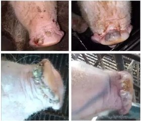 尊龙凯时 - 人生就是搏!