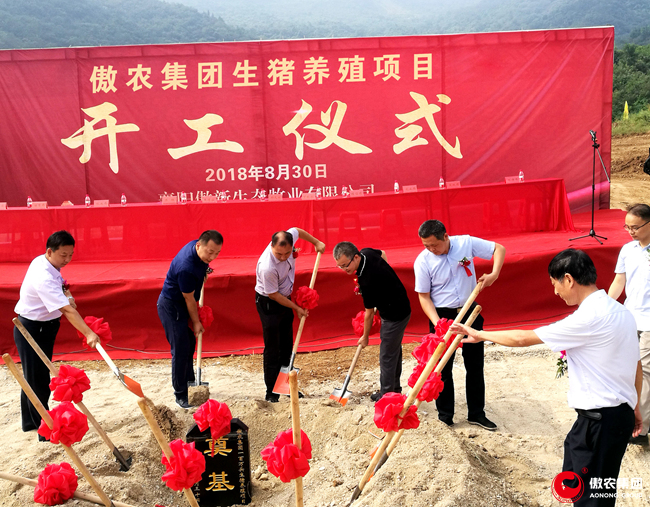 尊龙凯时 - 人生就是搏!