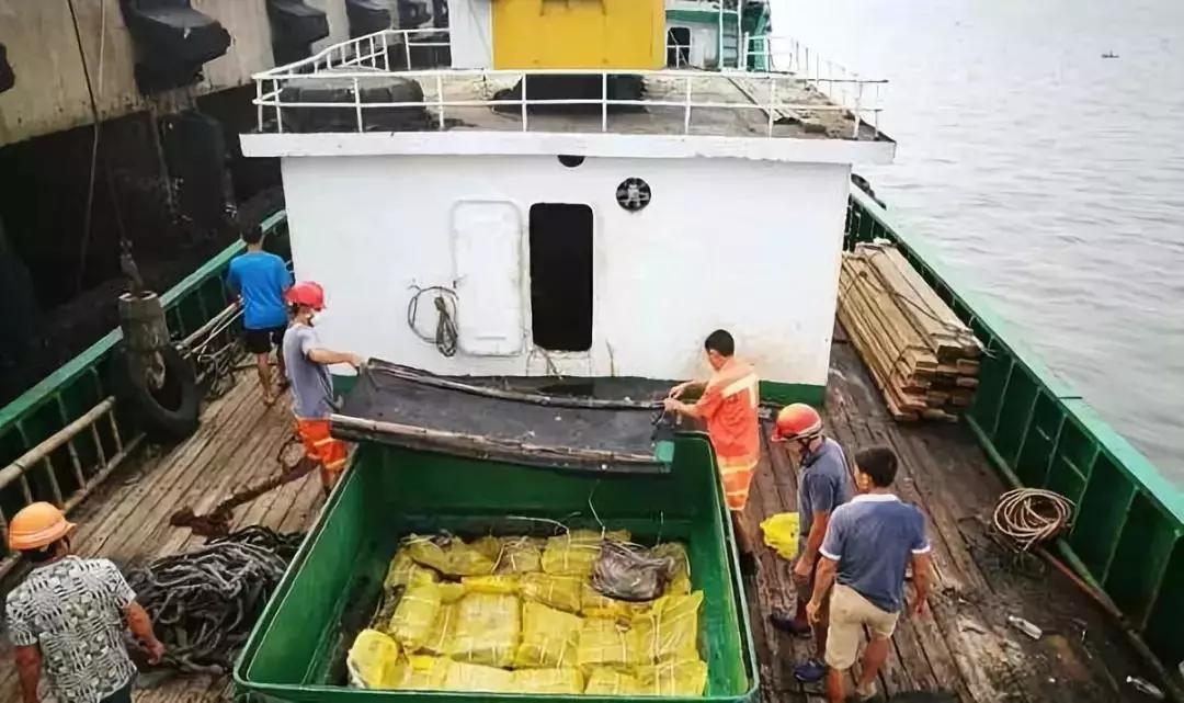 尊龙凯时 - 人生就是搏!