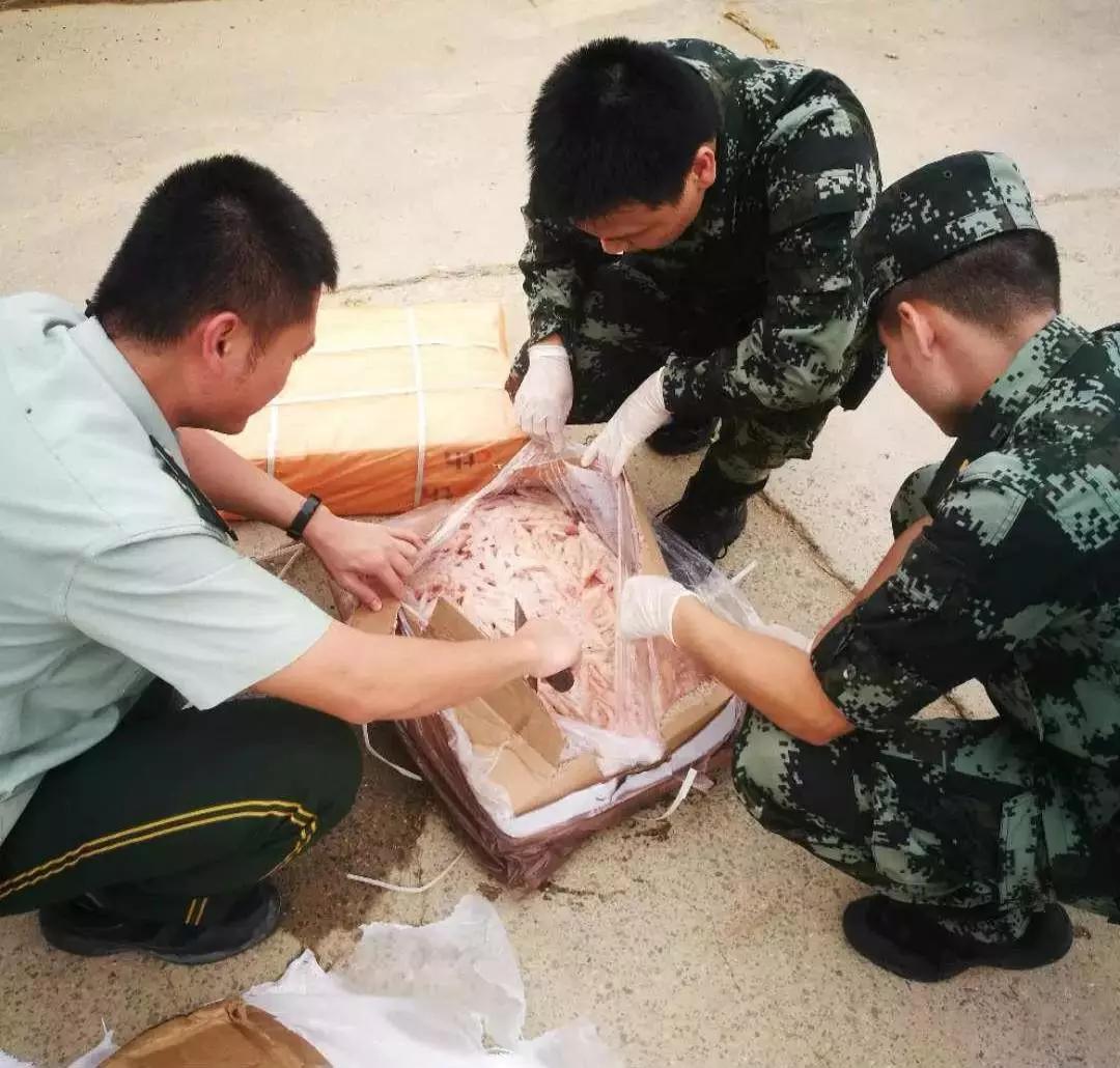 尊龙凯时 - 人生就是搏!