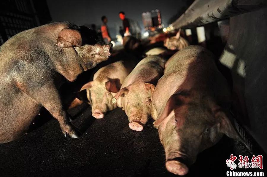 尊龙凯时 - 人生就是搏!