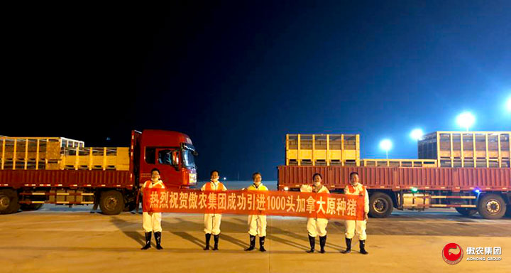 尊龙凯时 - 人生就是搏!