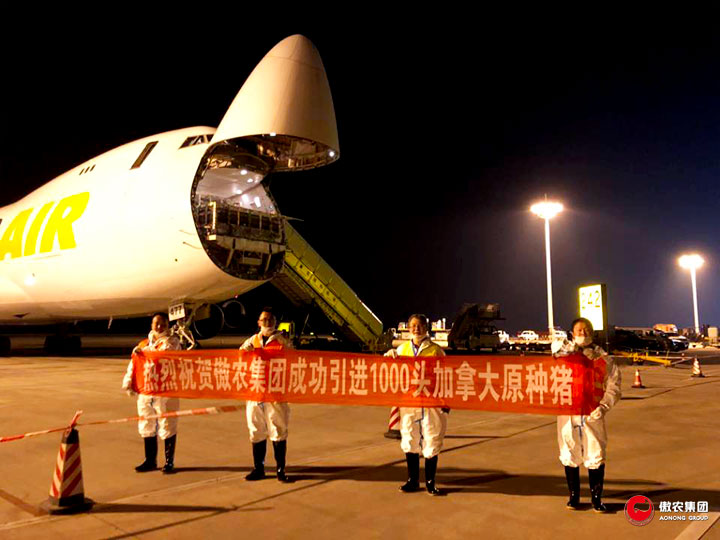 尊龙凯时 - 人生就是搏!