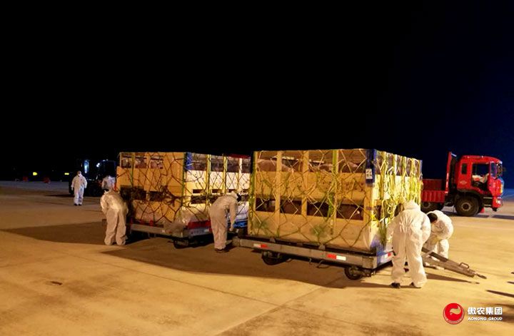 尊龙凯时 - 人生就是搏!