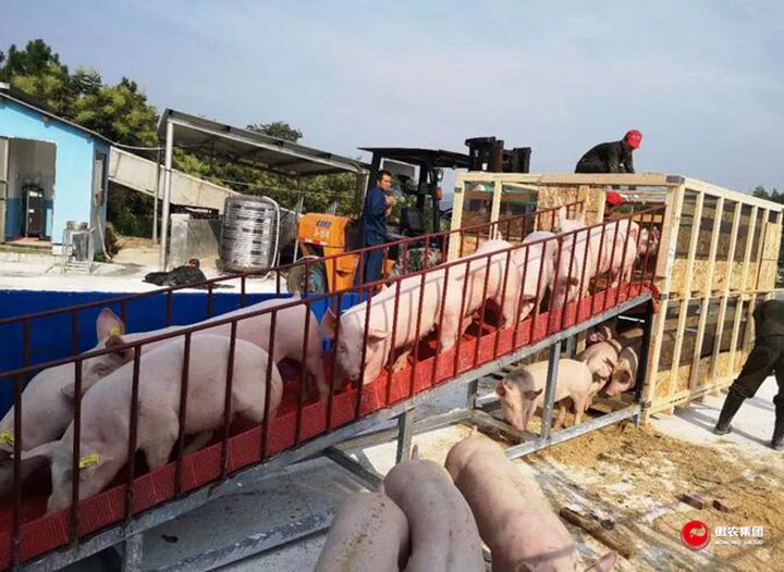 尊龙凯时 - 人生就是搏!