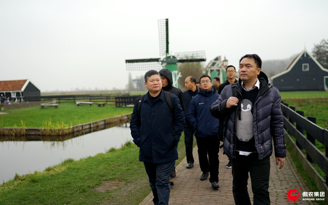 尊龙凯时 - 人生就是搏!