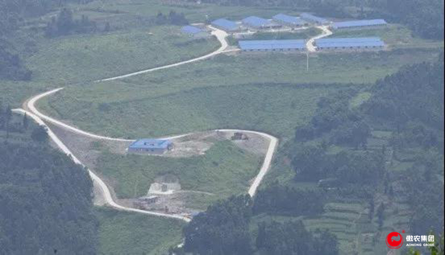 尊龙凯时 - 人生就是搏!