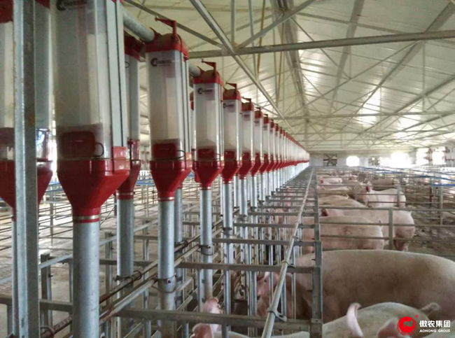 尊龙凯时 - 人生就是搏!