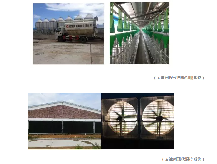 尊龙凯时 - 人生就是搏!