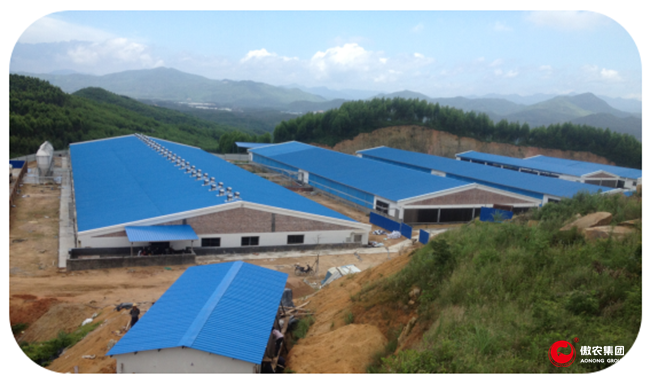 尊龙凯时 - 人生就是搏!