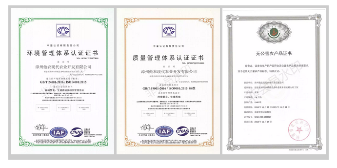 尊龙凯时 - 人生就是搏!