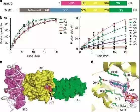 尊龙凯时 - 人生就是搏!