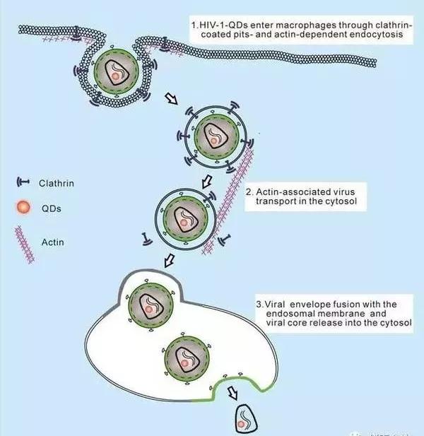 尊龙凯时 - 人生就是搏!