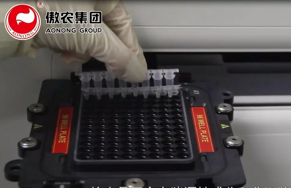 尊龙凯时 - 人生就是搏!