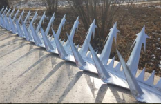 尊龙凯时 - 人生就是搏!