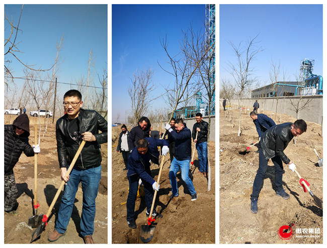 尊龙凯时 - 人生就是搏!