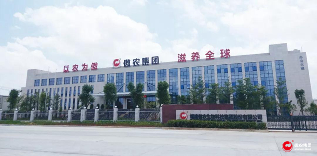 尊龙凯时 - 人生就是搏!