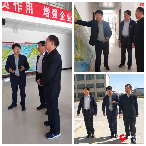 尊龙凯时 - 人生就是搏!