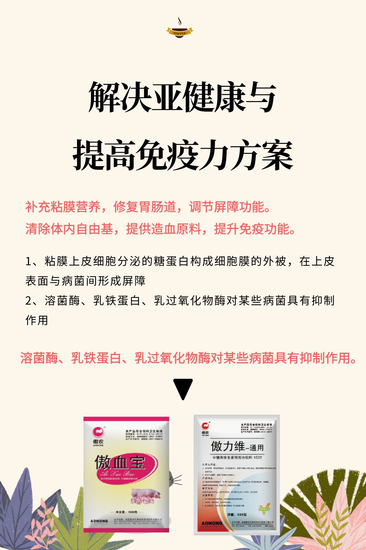 尊龙凯时 - 人生就是搏!