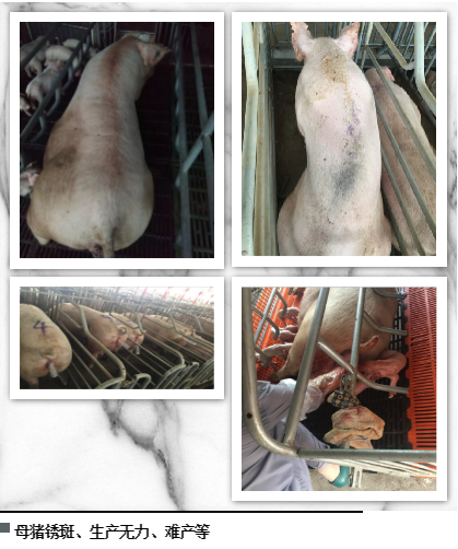 尊龙凯时 - 人生就是搏!