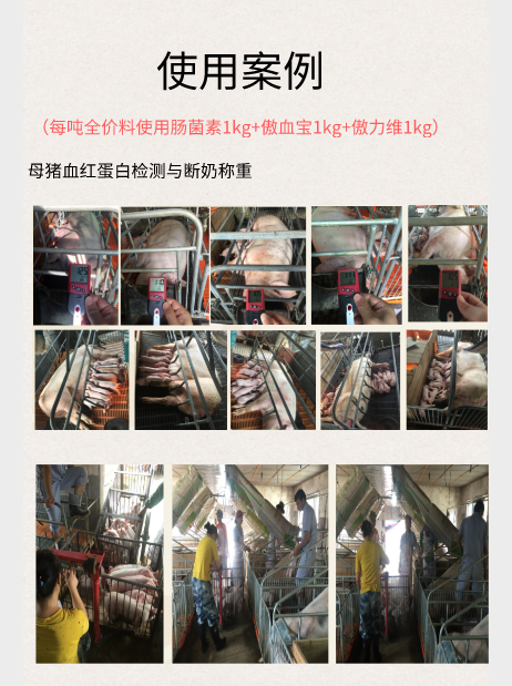 尊龙凯时 - 人生就是搏!